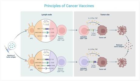 New Cancer Vaccine Trials Offer Hope for Patients Across England - Best ...